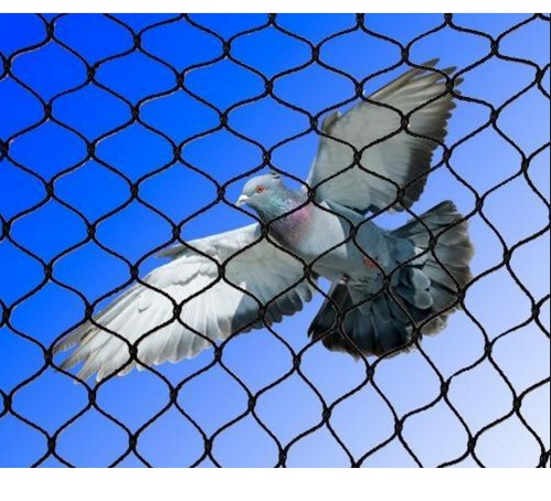 Pigeon Net Manufacturer In Gurgaon